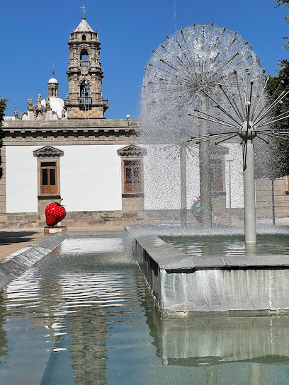 Jardín Irapuato