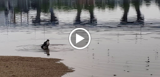 Science Museum «Discovery World», reviews and photos, 500 N Harbor Dr, Milwaukee, WI 53202, USA