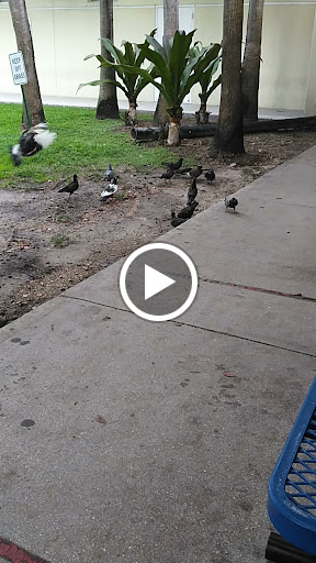 Non-Profit Organization «Chapman Partnership», reviews and photos