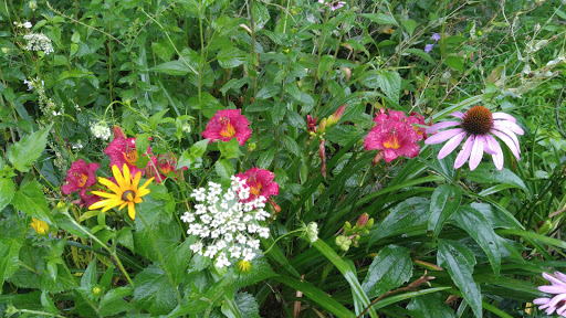 Gift Shop «Stonehedge Gardens», reviews and photos, 51 Dairy Rd, Tamaqua, PA 18252, USA