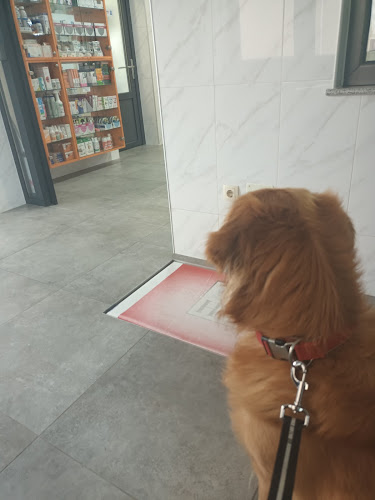 Radno vrijeme Majcan veterinarska ambulanta d.o.o.