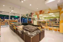 Healthy Spot - Car repair in Costa Mesa, CA, Santa Ana - Rated 4.5/5