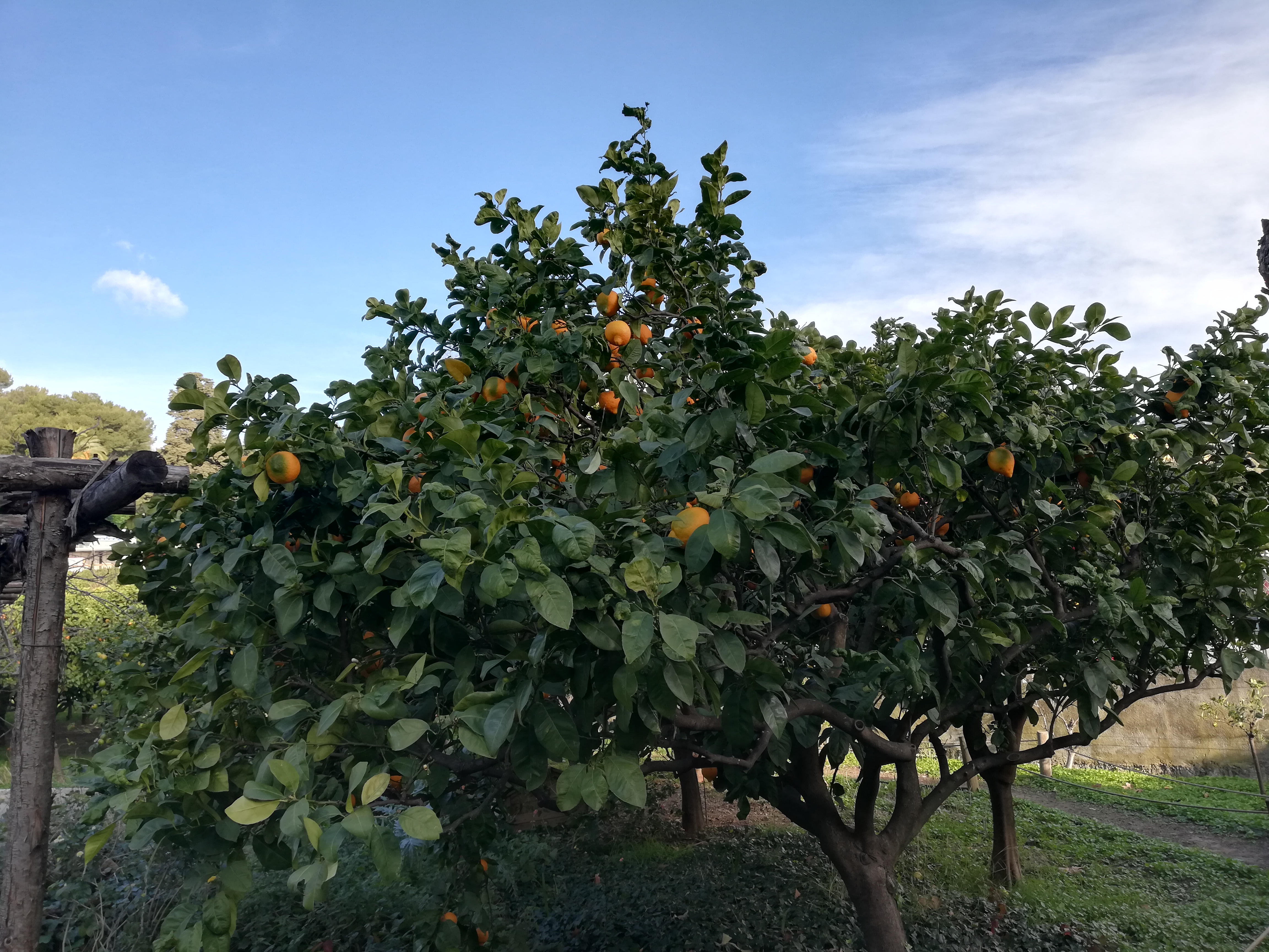 Photo n° 33 de l'avis de Olivier.r fait le 11/02/2020 à 08:58