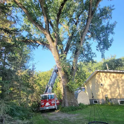 Boyle's Tree Removal