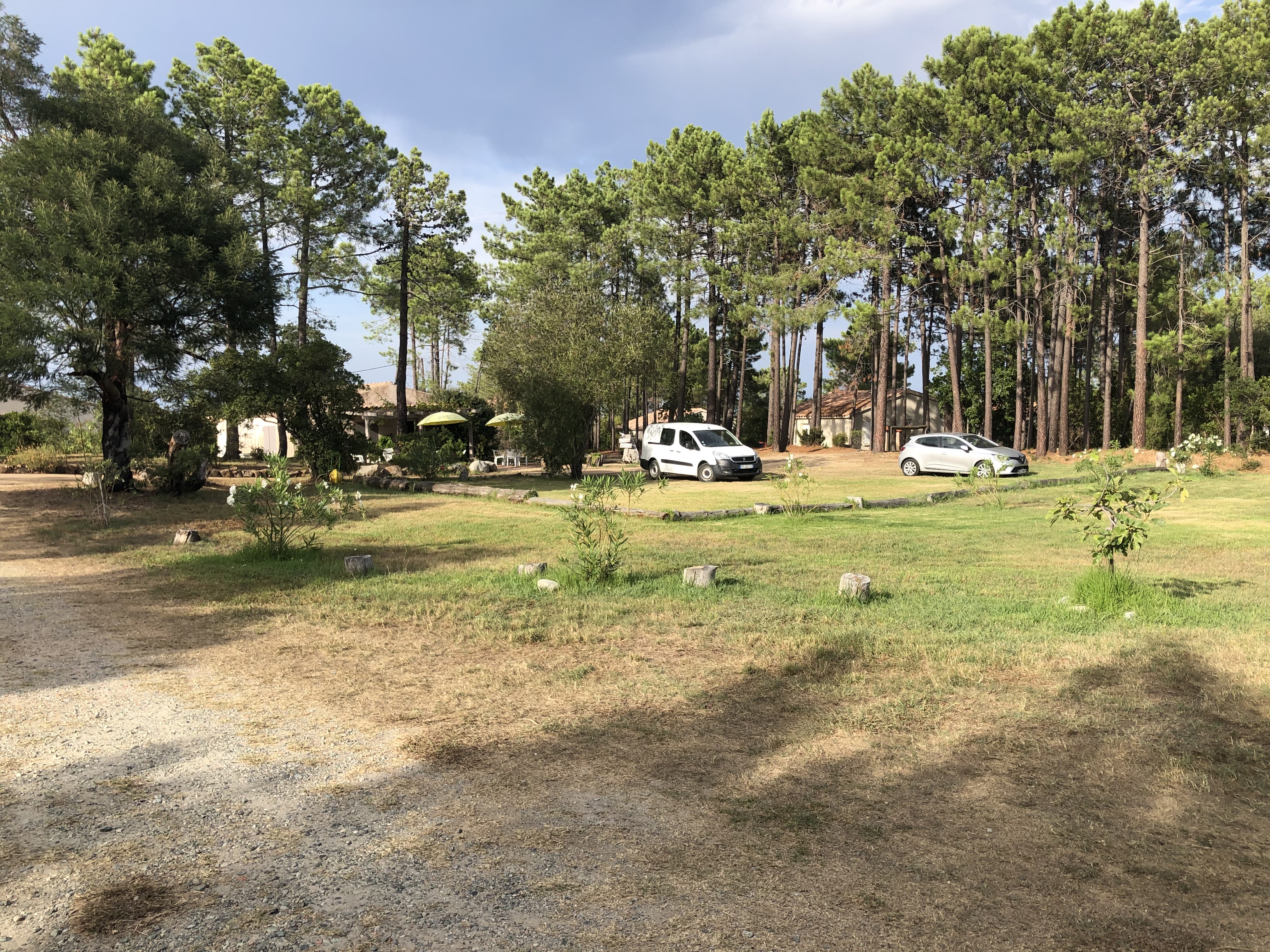 Photo n° 8 de l'avis de Peacock.e fait le 31/08/2021 à 16:52