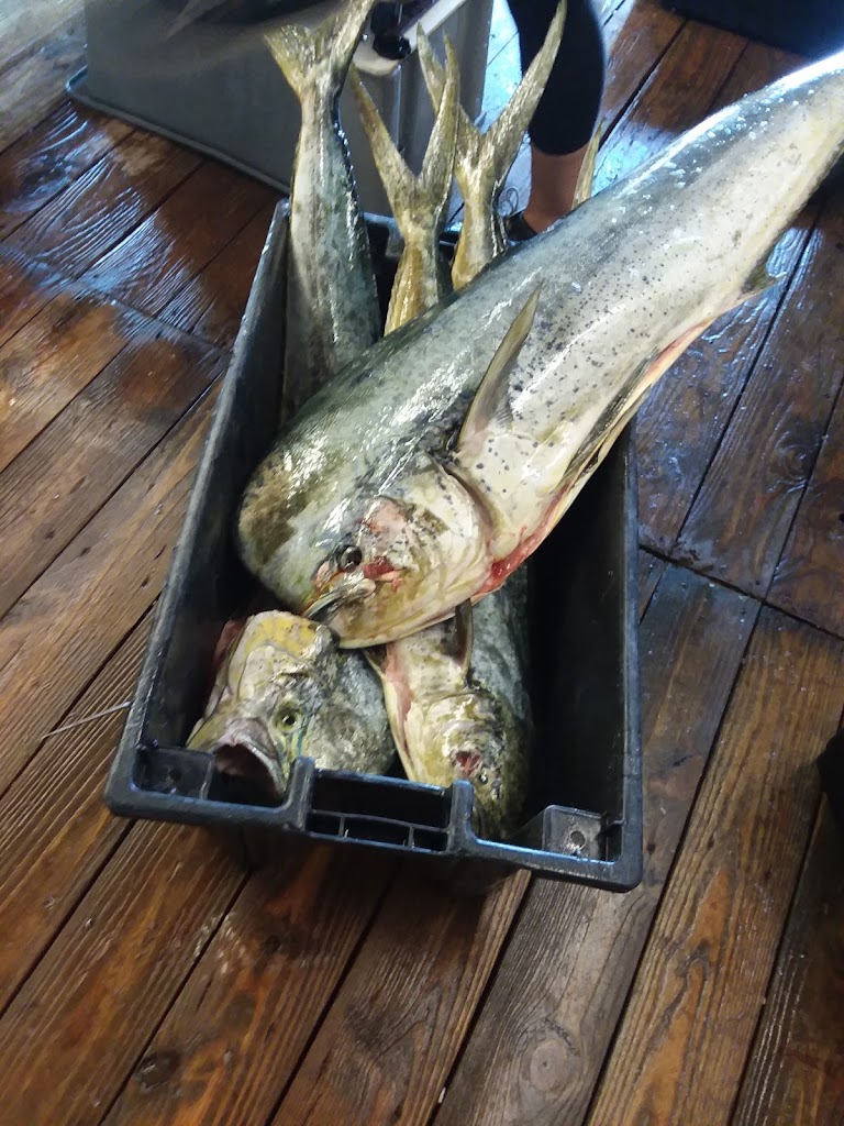 Fresh Catch Seafood Nags Head, NC 27981 Menu, Hours, Reviews and