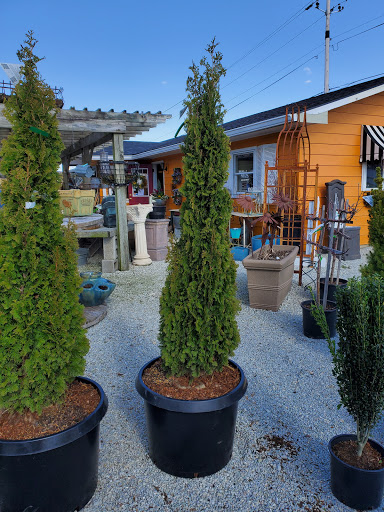 Garden Center «Salsbery Garden Center», reviews and photos, 6346 W Broadway, McCordsville, IN 46055, USA