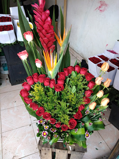 Floreria alan – Ciudad Nicolás Romero