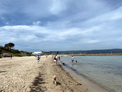 Photo de Tassells Cove zone sauvage