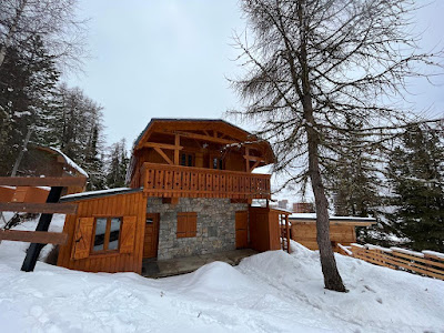CHALET L'ALPICOIS à La Plagne-Tarentaise