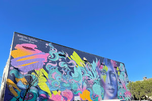 Picture Perfect Murals of Newtown, Sydney (Self-Guided walking tour) by FreeGuides.com
