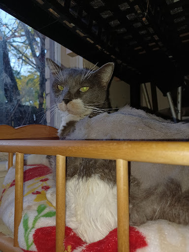 Pet Supply Store «Big Tex Feed & Pet Supply», reviews and photos, 7102 Cullen Blvd, Houston, TX 77021, USA