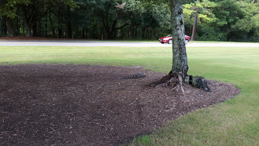 Golf Course «Tradition Club», reviews and photos, 1027 Willbrook Blvd, Pawleys Island, SC 29585, USA