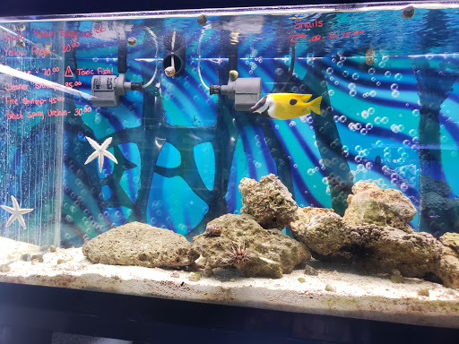 Pet Store «Pet Paradise Grooming», reviews and photos, 1115 Pueblo Blvd Way, Pueblo, CO 81005, USA