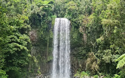 Millaa Millaa Falls image