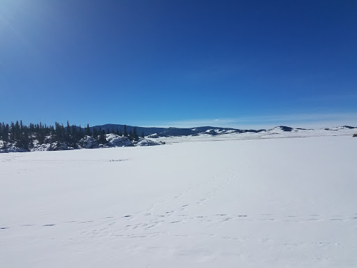General Store «Eleven Mile General Store», reviews and photos, 5790 Co Rd 92, Lake George, CO 80827, USA