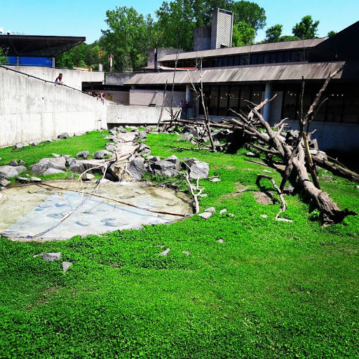 Zoo «Minnesota Zoo», reviews and photos, 13000 Zoo Blvd, Apple Valley, MN 55124, USA