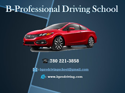 B-Professional Driving School
