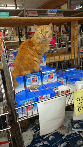 Thrift Store «Animals In Need Thrift Store», reviews and photos, 2520 NE Vivion Rd, Kansas City, MO 64118, USA