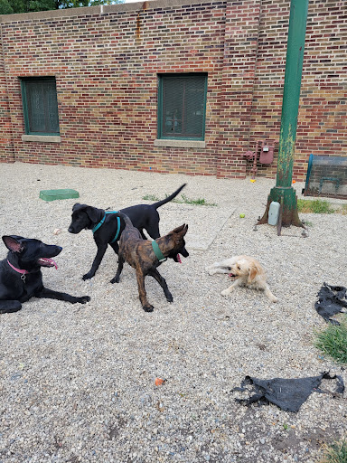 Dog Park «Portage Dog Friendly Area», reviews and photos, 4100 N Long Ave, Chicago, IL 60641, USA