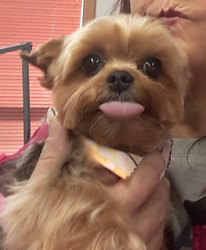 Pet Supply Store «Pets For You», reviews and photos, 413 N Main St, Rice Lake, WI 54868, USA