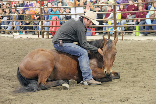 Boutique «Saratoga Saddlery», reviews and photos, 506 Broadway, Saratoga Springs, NY 12866, USA