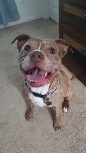 Explore state tattoo ideas, creative tattoo ideas in Wesley Chapel, available at 2 Extreme Tattoos Wesley Chapel Grove