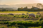 Ferme de la combe Bernard Montseveroux