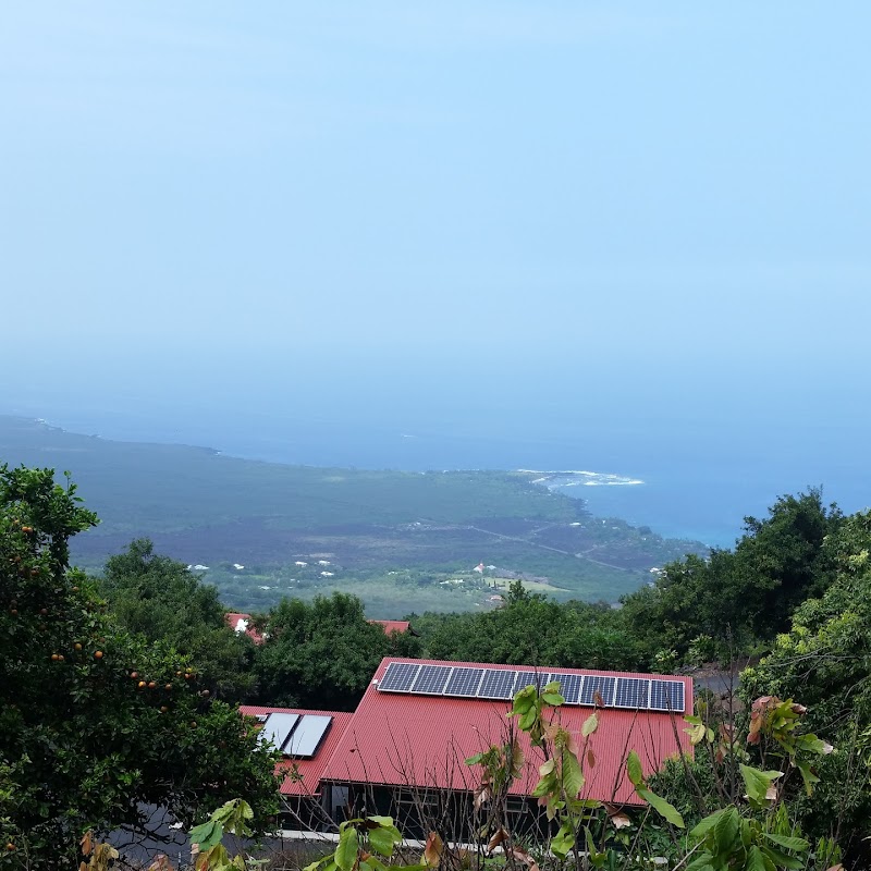 Sacred Grounds Coffee Farm