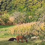Photo n°1 de l'avis de Caine.o fait le 30/09/2023 à 16:10 sur le  Hotel Häfner à Bad Schönborn