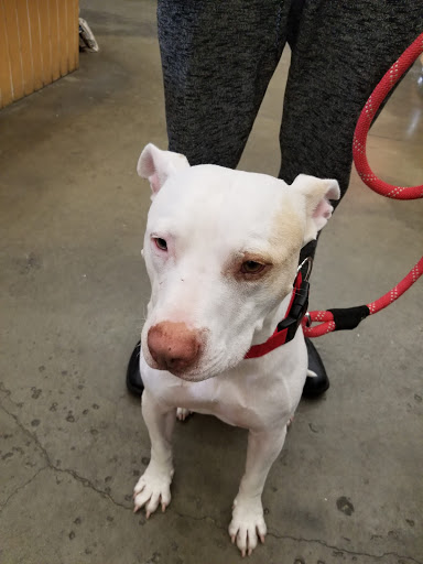 Pet Supply Store «Western Ranch & Pet Supply», reviews and photos, 103 Aegean Way, Vacaville, CA 95687, USA