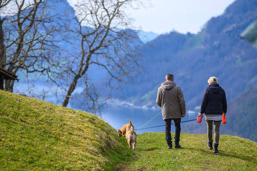 Dog Park «Mt. Airy Dog Park», reviews and photos, 3006 Westwood Northern Blvd, Cincinnati, OH 45211, USA