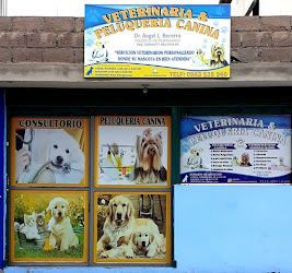 Veterinaria & Peluqueria Canina, Dr. Angel Becerra, Peluqueria Canina, Emergencias Veterinarias, Cirugías