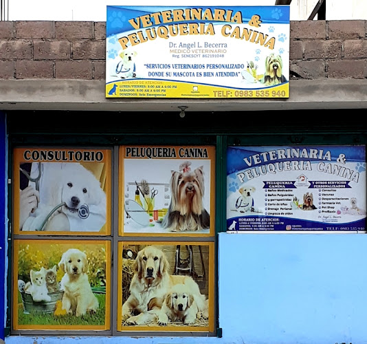 Veterinaria & Peluqueria Canina, Dr. Angel Becerra, Peluqueria Canina, Emergencias Veterinarias, Cirugías