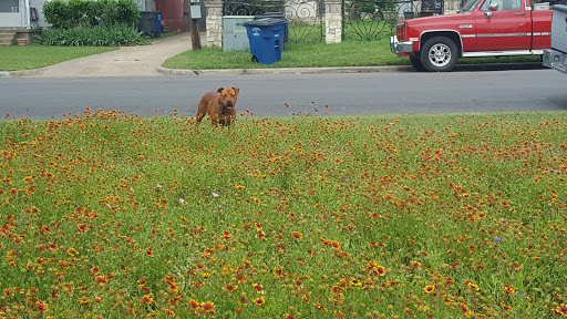 Park «Martin Weiss Park», reviews and photos, 3400 W Clarendon Dr, Dallas, TX 75211, USA