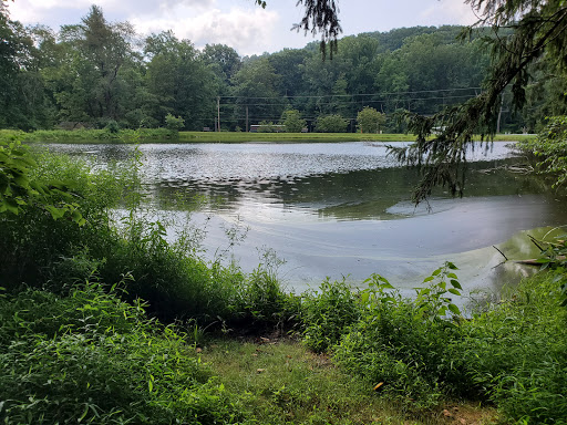 Nature Preserve «Strawberry Hill Nature Preserve», reviews and photos, 1537 Mt Hope Rd, Fairfield, PA 17320, USA