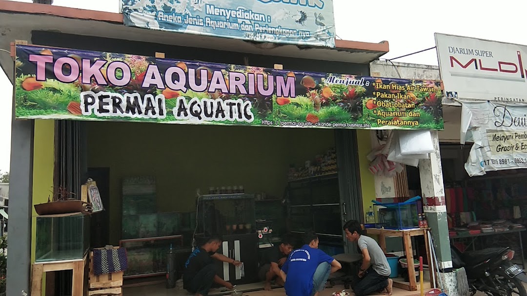 Toko Aquarium Permai Aquatic