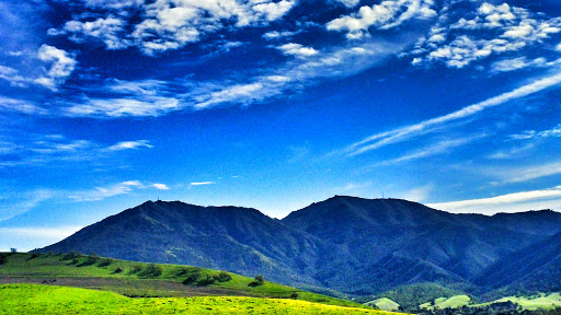 Live Music Venue «Concord Pavilion», reviews and photos, 2000 Kirker Pass Rd, Concord, CA 94521, USA