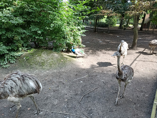 Vogelpark Groß-Rohrheim unter Groß-Rohrheim, 