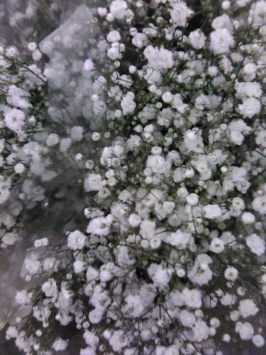 Grocery Store «Vons», reviews and photos, 82 W Foothill Blvd, Upland, CA 91786, USA