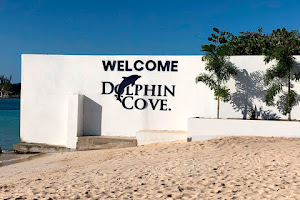 Dolphin Cove Puerto Seco Beach image