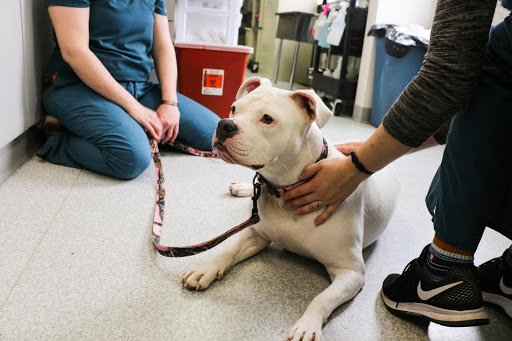 391 Dublin Pike, Perkasie, PA 18944, USA