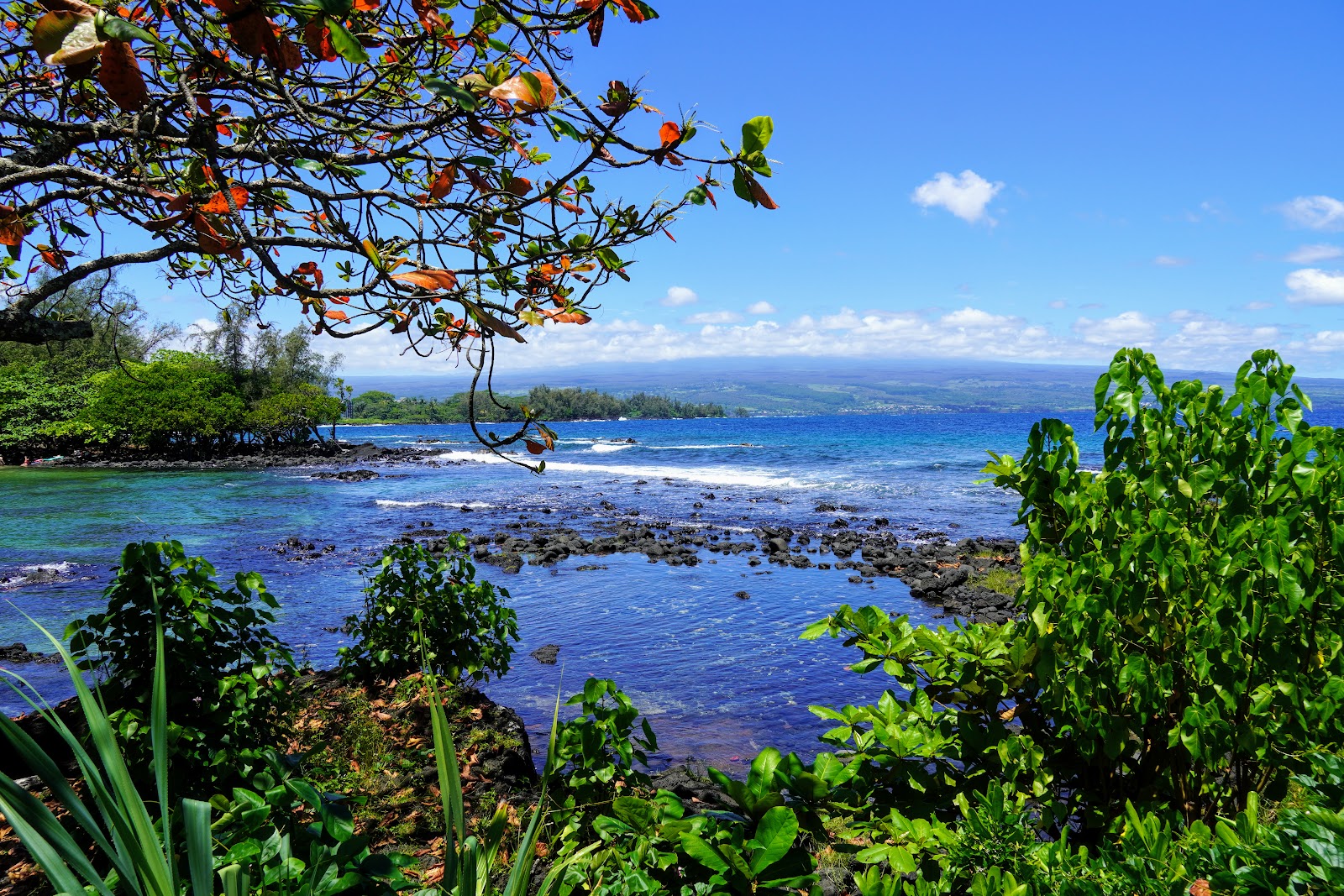 Photo de Leleiwi Beach situé dans une zone naturelle