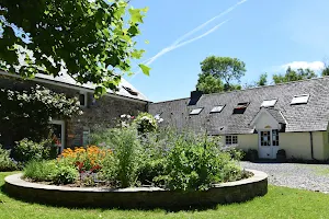 Mandala Yoga Ashram image