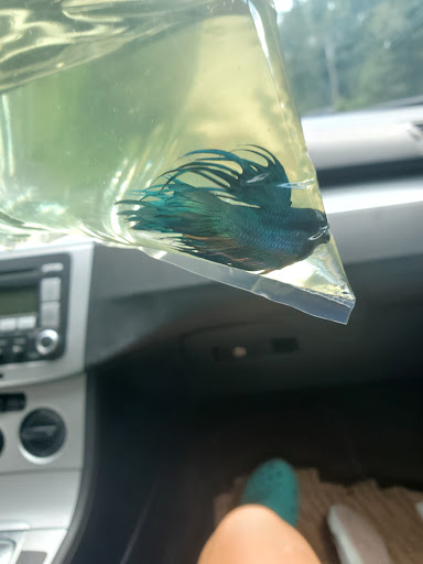 Pet Store «Hometowne Pet & Supply Inc», reviews and photos, 153 NY-94, Warwick, NY 10990, USA