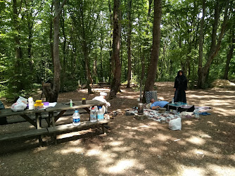 Vakıflar Genel Müdürlüğü Taşdelen Su Tesisleri Taşdelen Doğal Kaynak Suyu