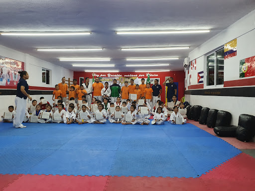 Escuela de taekwondo Mérida