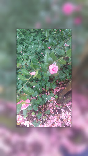 Place of Worship «The Grotto», reviews and photos, 8840 NE Skidmore St, Portland, OR 97220, USA