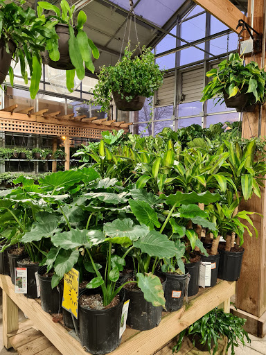 Home Improvement Store «The Home Depot», reviews and photos, 870 Woodstock Rd, Roswell, GA 30075, USA