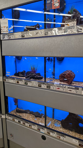 Pet Supply Store «Petco Animal Supplies», reviews and photos, 10315 E Shelby Dr, Collierville, TN 38017, USA